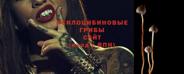 синтетический гашиш Арсеньев