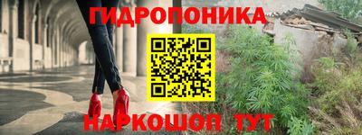 apvp Пенза