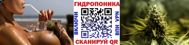 цены наркотик  Спасск-Дальний  Конопля LSD WEED 